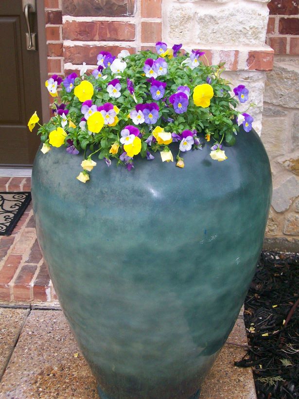 ideas-for-pots-of-flowers-57_4 Идеи за саксии с цветя