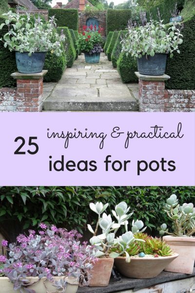 ideas-for-potted-gardens-55_16 Идеи за саксийни градини
