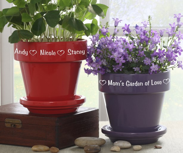 ideas-for-small-flower-pots-40_11 Идеи за малки саксии за цветя