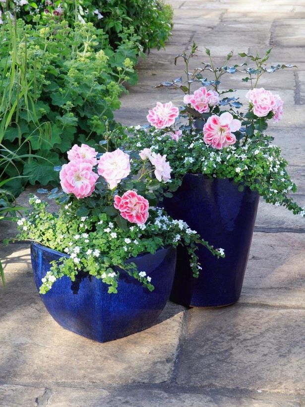 ideas-for-small-flower-pots-40_17 Идеи за малки саксии за цветя