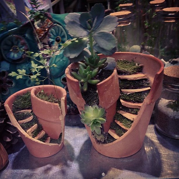 interesting-plant-pots-22 Интересни саксии за растения