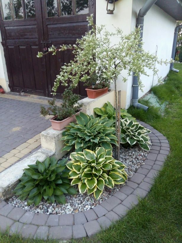 landscaping-a-small-area-in-front-of-house-72_13 Озеленяване на малка площ пред къщата