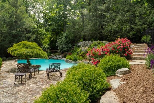 landscaping-around-a-pool-pictures-90 Озеленяване около басейн снимки