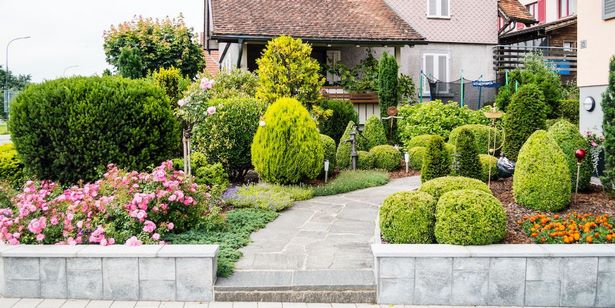 landscaping-front-yard-of-house-45_16 Озеленяване на предния двор на къщата