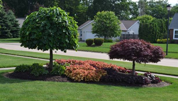 landscaping-ideas-for-middle-of-yard-11_14 Озеленяване идеи за средата на двора