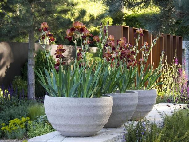 landscaping-ideas-with-large-pots-97 Озеленяване идеи с големи саксии