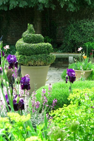 landscaping-ideas-with-large-pots-97_15 Озеленяване идеи с големи саксии