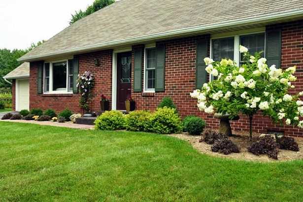 landscaping-in-front-of-house-pictures-72_20 Озеленяване пред къщата снимки
