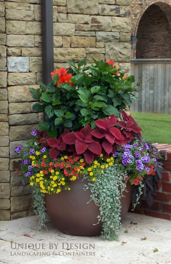 large-outdoor-potted-plant-ideas-21 Големи външни саксийни идеи за растения