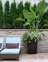 large-outdoor-potted-plant-ideas-21_10 Големи външни саксийни идеи за растения