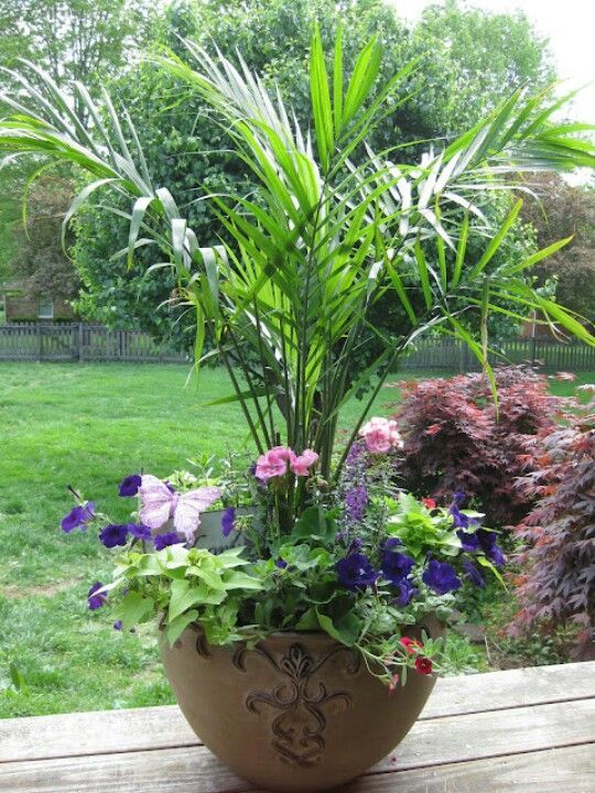 large-outdoor-potted-plant-ideas-21_11 Големи външни саксийни идеи за растения