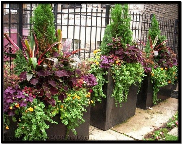 large-outdoor-potted-plant-ideas-21_5 Големи външни саксийни идеи за растения