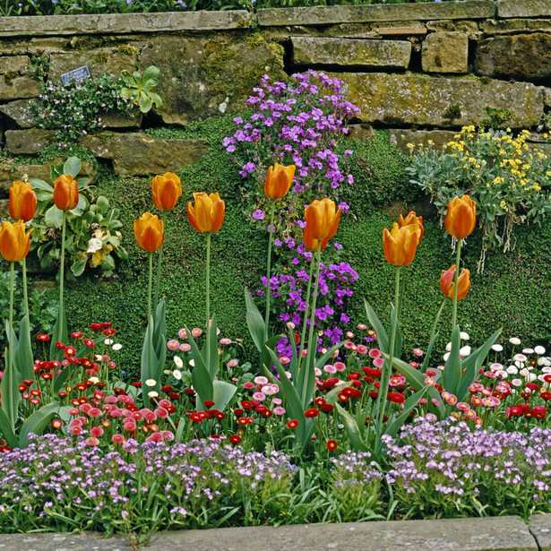 long-narrow-front-yard-landscaping-ideas-70_2 Дълъг тесен преден двор идеи за озеленяване