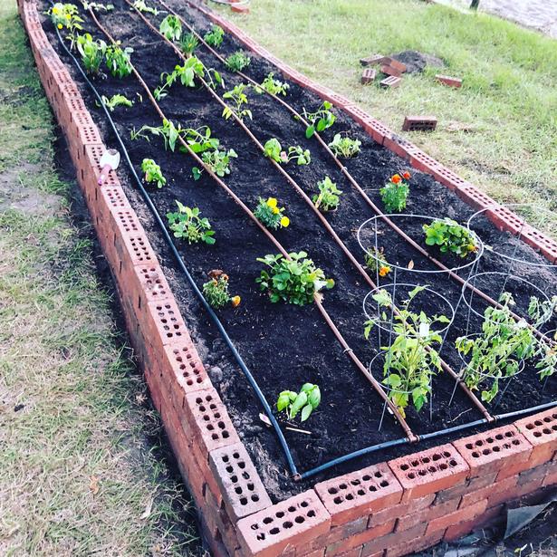 long-raised-garden-beds-59_12 Дълги повдигнати градински легла