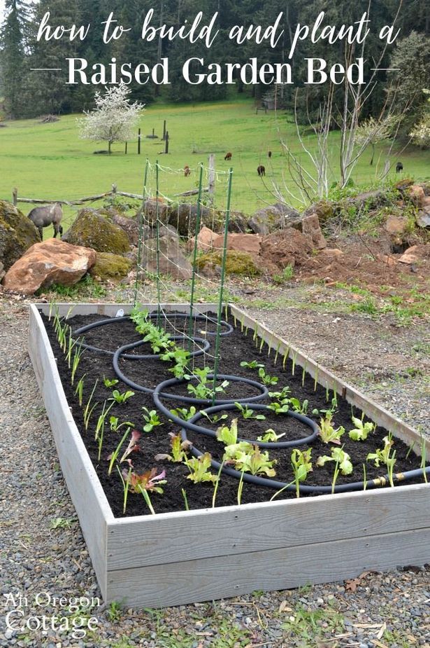 long-raised-garden-beds-59_4 Дълги повдигнати градински легла