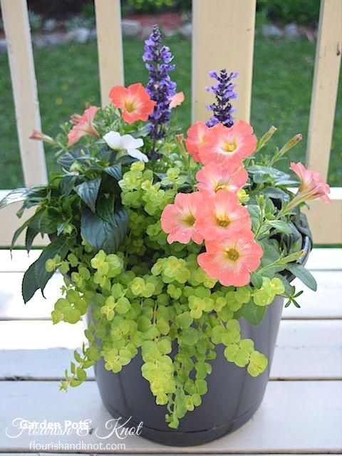 new-ideas-for-container-gardening-42_18 Нови идеи за контейнер градинарство