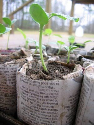 newspaper-plant-pots-43_2 Вестникарски саксии