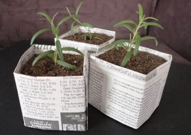 newspaper-plant-pots-43_6 Вестникарски саксии