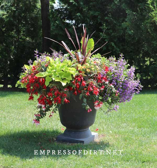 outdoor-flower-container-arrangements-19_10 Открит цвете контейнер договорености
