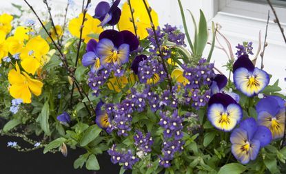 outdoor-flower-container-arrangements-19_16 Открит цвете контейнер договорености