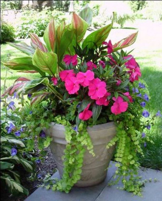 outdoor-flower-ideas-for-containers-75 Идеи за цветя на открито за контейнери