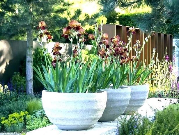 outdoor-flower-ideas-for-containers-75_5 Идеи за цветя на открито за контейнери