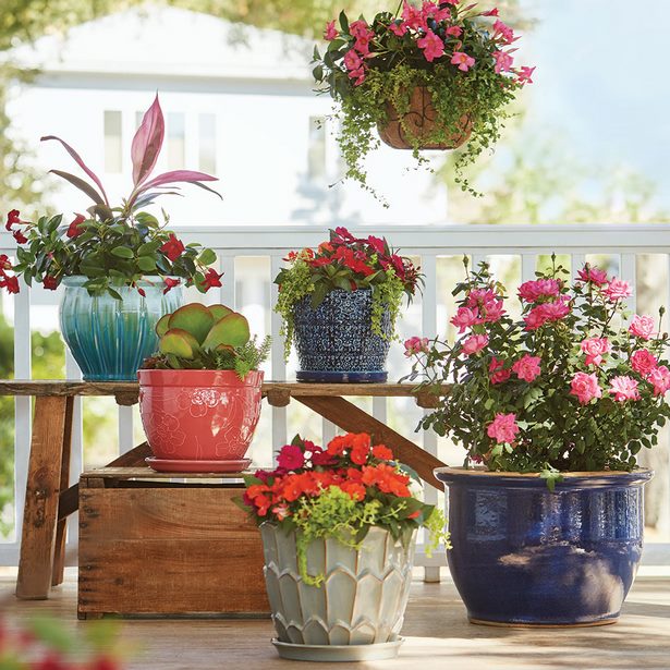 outdoor-flowers-in-pots-ideas-28_13 Външни цветя в саксии идеи