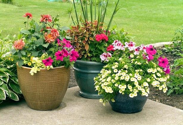outdoor-flowers-in-pots-ideas-28_8 Външни цветя в саксии идеи
