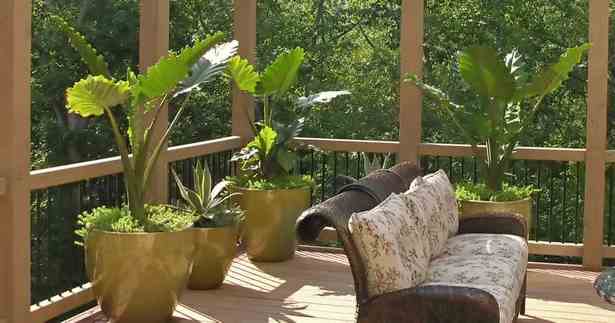 outdoor-patio-plant-ideas-30_15 Открит вътрешен двор растения идеи