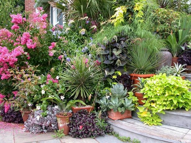 outdoor-patio-plant-ideas-30_18 Открит вътрешен двор растения идеи