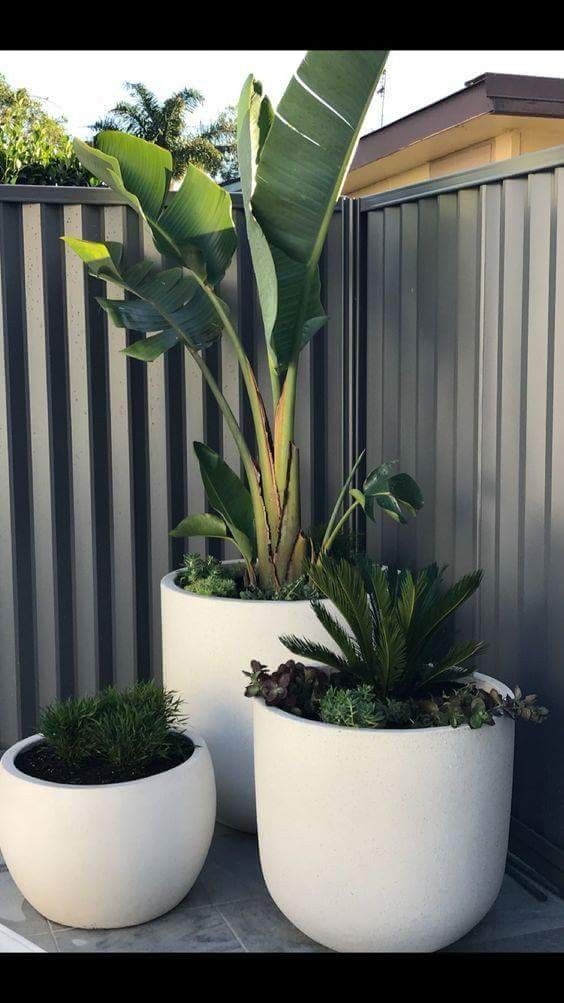 outdoor-patio-plant-ideas-30_3 Открит вътрешен двор растения идеи