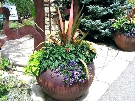 outdoor-patio-plant-ideas-30_4 Открит вътрешен двор растения идеи