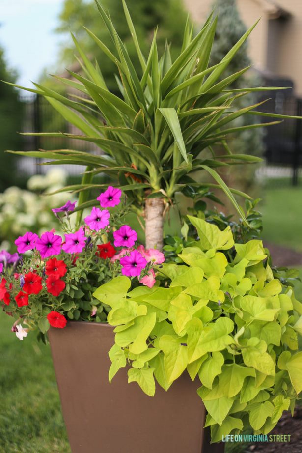 outdoor-planter-ideas-for-summer-76_2 Открит плантатор идеи за лятото