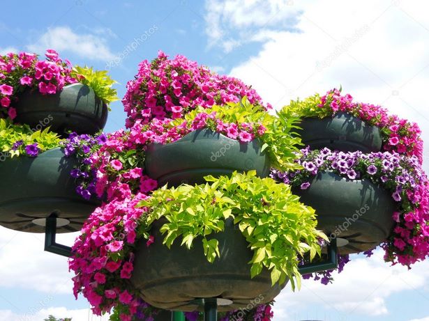 outdoor-planters-with-flowers-35_17 Външни саксии с цветя