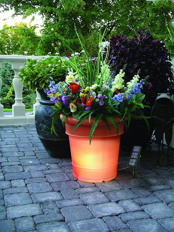 outdoor-planters-with-flowers-35_2 Външни саксии с цветя