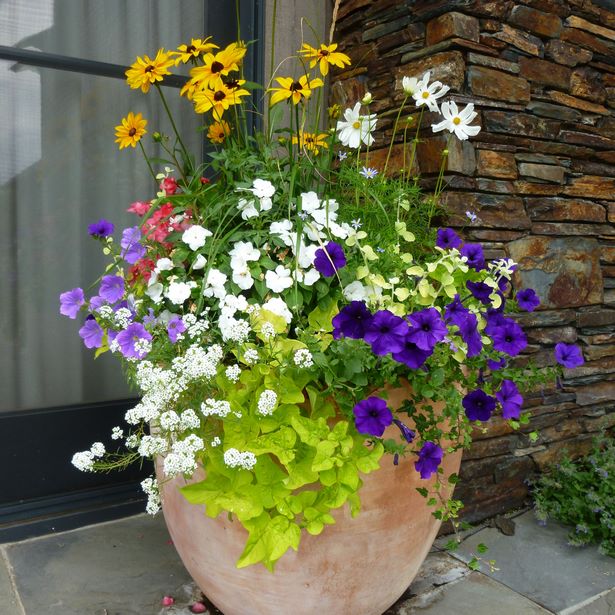 outdoor-potted-flower-arrangement-ideas-02 Открит саксийни идеи за цветя