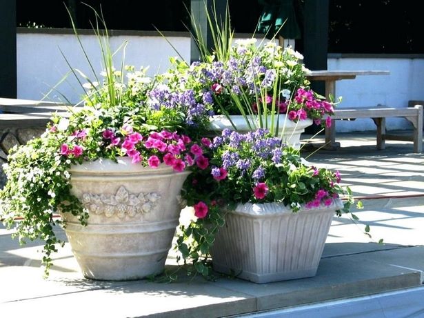 outdoor-potted-flower-arrangement-ideas-02_3 Открит саксийни идеи за цветя