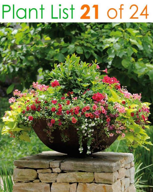 outdoor-potted-flower-ideas-25 Открит саксийни цветя Идеи