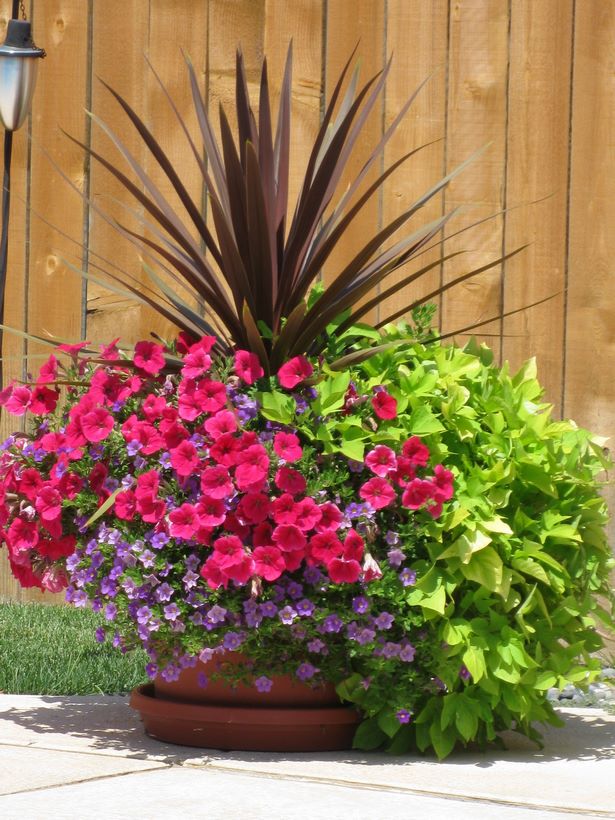 outdoor-potted-flower-ideas-25_2 Открит саксийни цветя Идеи