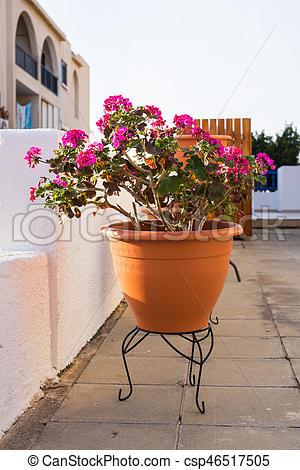 outdoor-potted-flowers-92_5 Открито саксийни цветя