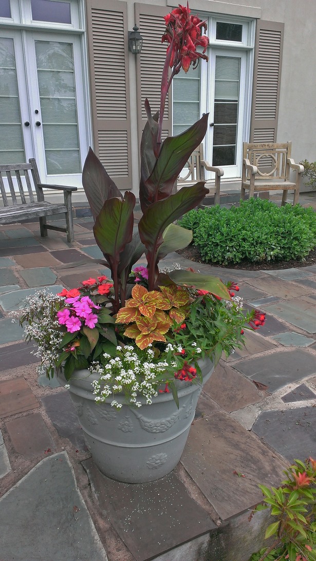 outdoor-potted-plant-designs-67_13 Открит саксийни растения дизайни