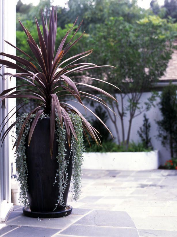 outdoor-potted-plant-designs-67_2 Открит саксийни растения дизайни