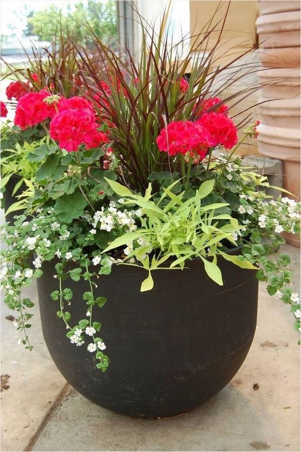outdoor-potted-plant-designs-67_8 Открит саксийни растения дизайни
