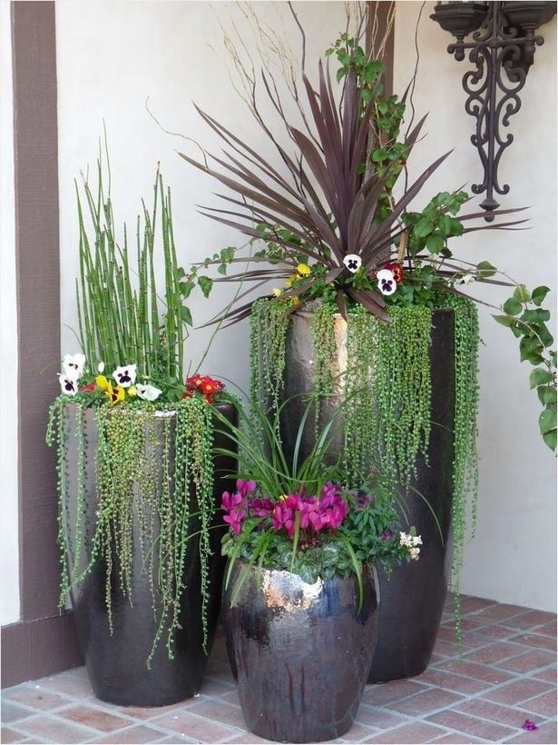 outdoor-potted-plant-designs-67_9 Открит саксийни растения дизайни