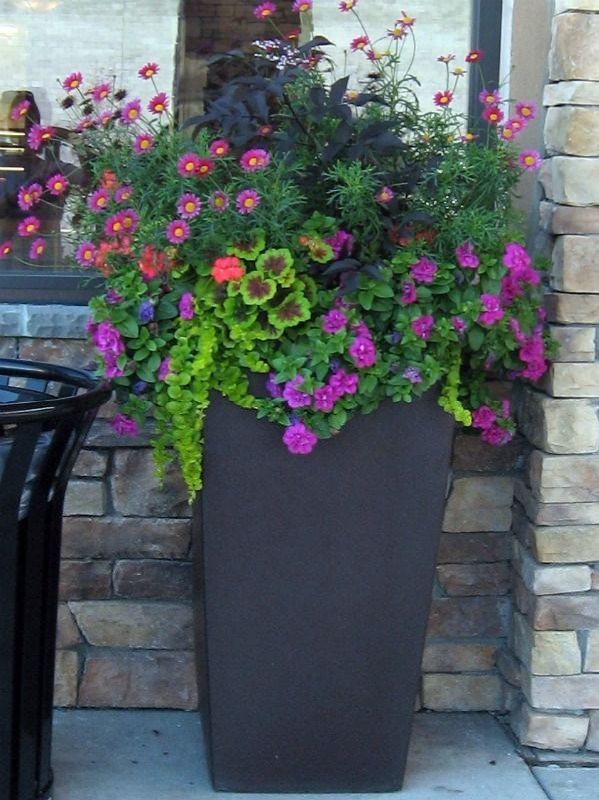 outdoor-summer-flower-pot-arrangement-ideas-64_11 Открит лятна саксия идеи за подреждане