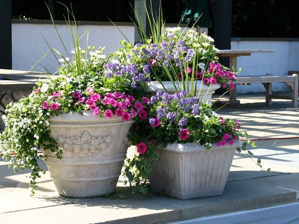 outdoor-summer-flower-pot-arrangement-ideas-64_16 Открит лятна саксия идеи за подреждане