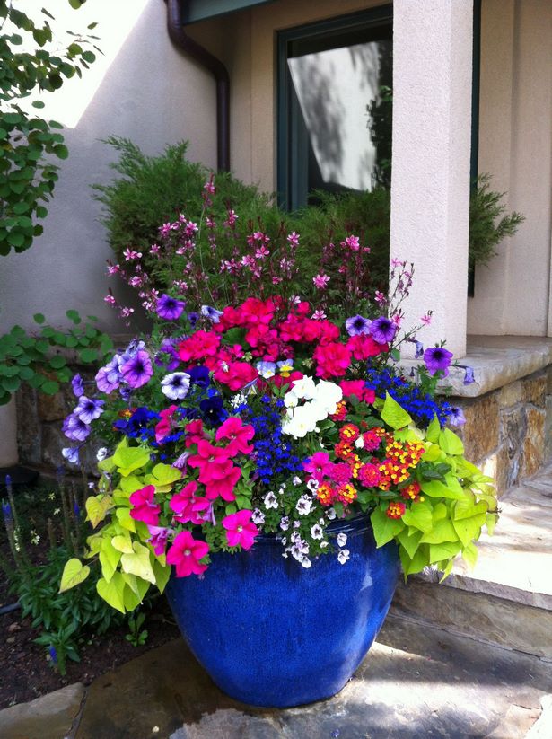 outdoor-summer-flower-pot-arrangement-ideas-64_5 Открит лятна саксия идеи за подреждане