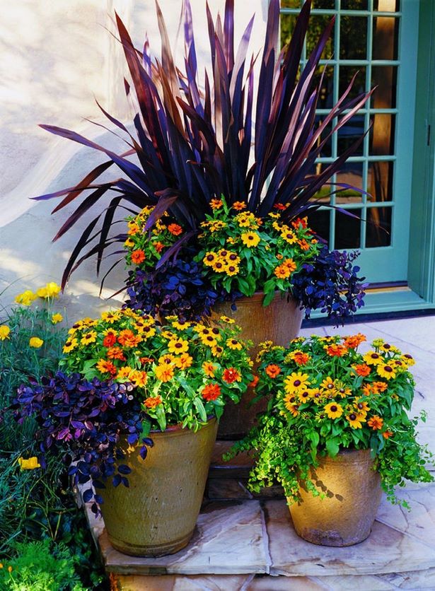 outdoor-summer-flower-pot-arrangement-ideas-64_7 Открит лятна саксия идеи за подреждане