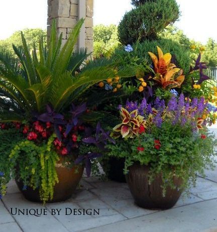outdoor-summer-flower-pot-arrangement-ideas-64_9 Открит лятна саксия идеи за подреждане