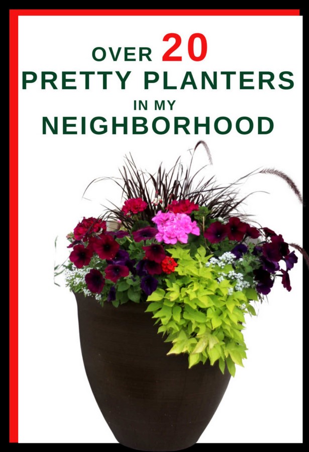 outdoor-summer-planter-ideas-26_14 Открит лято плантатор идеи